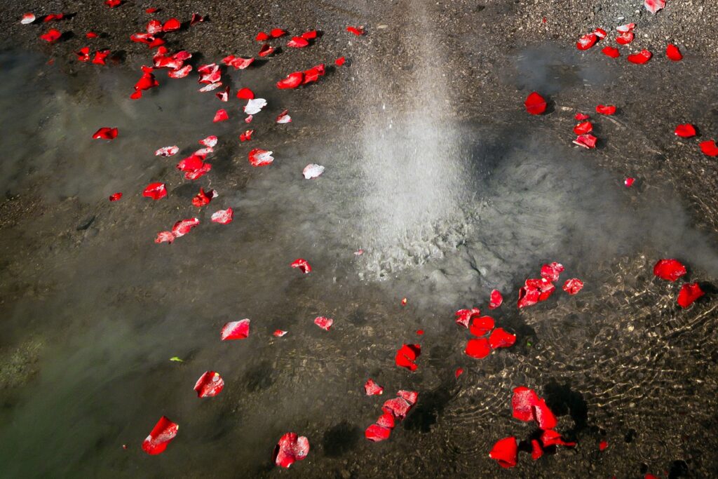 ashes on water