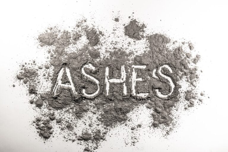 ashes