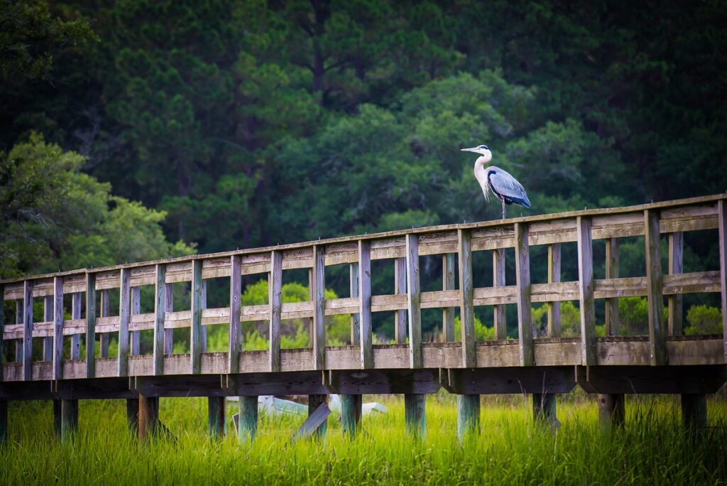 south carolina