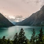 green trees near lake and mountains during daytime