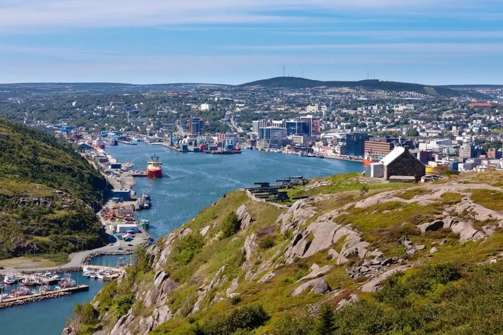 Newfoundland aquamation