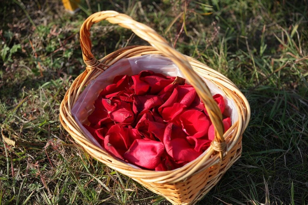 basket of rose petals