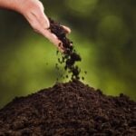 human composting