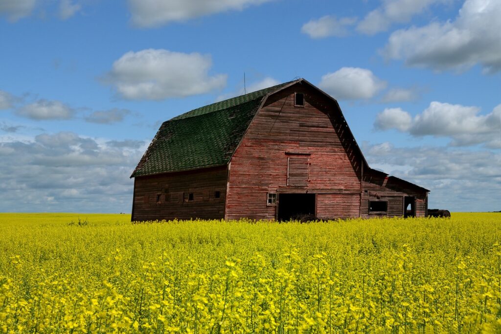 saskatchewan