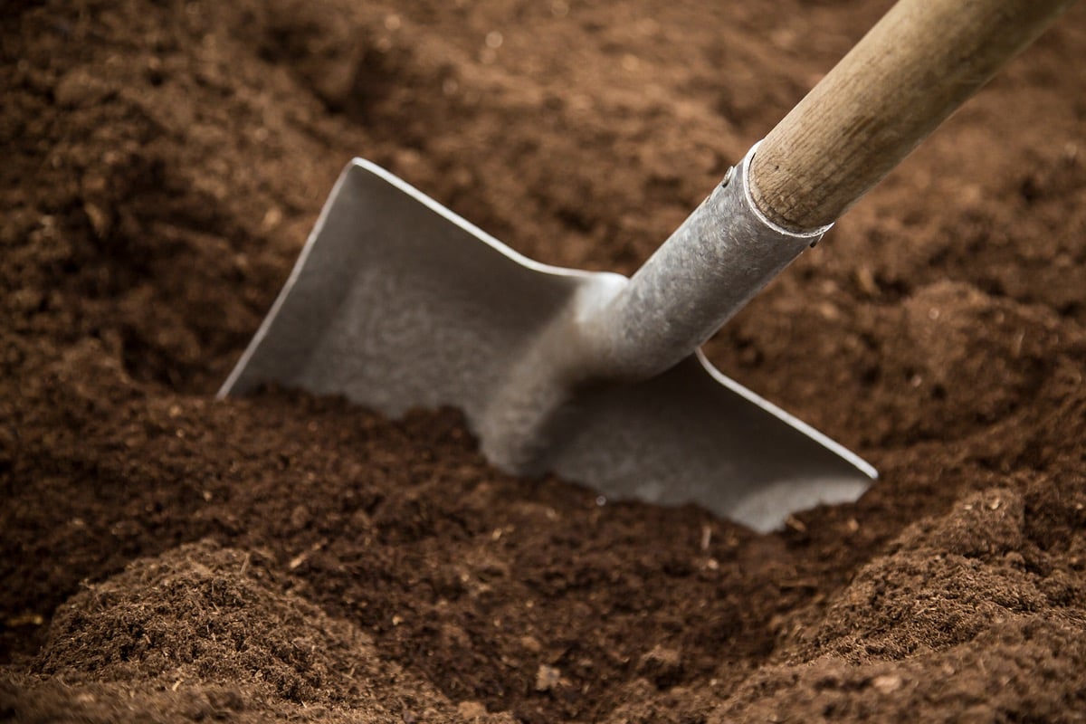 shovel in dirt