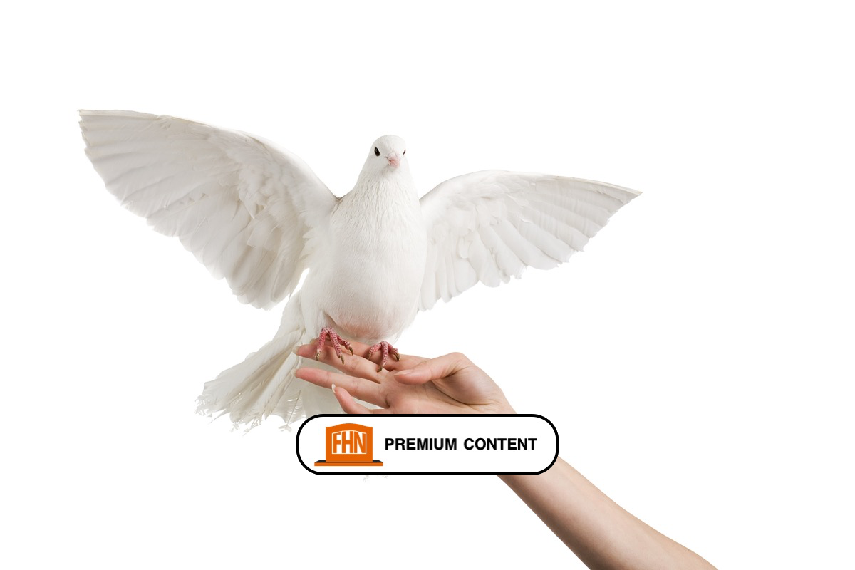 dove-premium-content