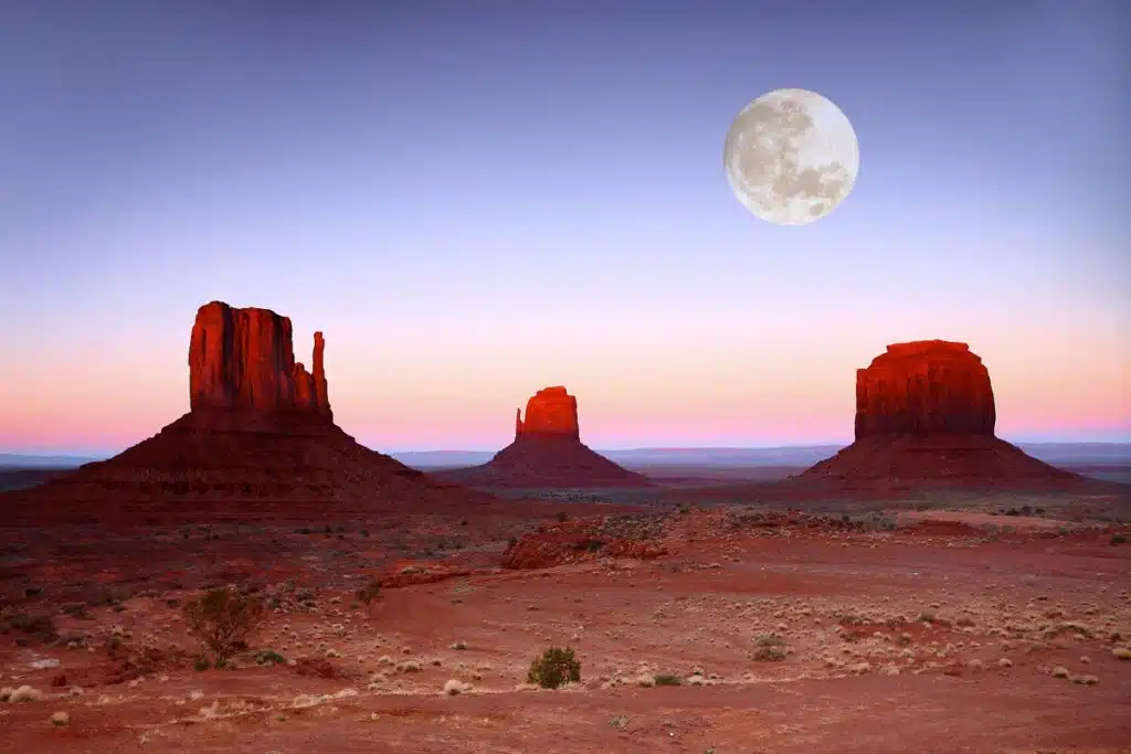 indigenous land