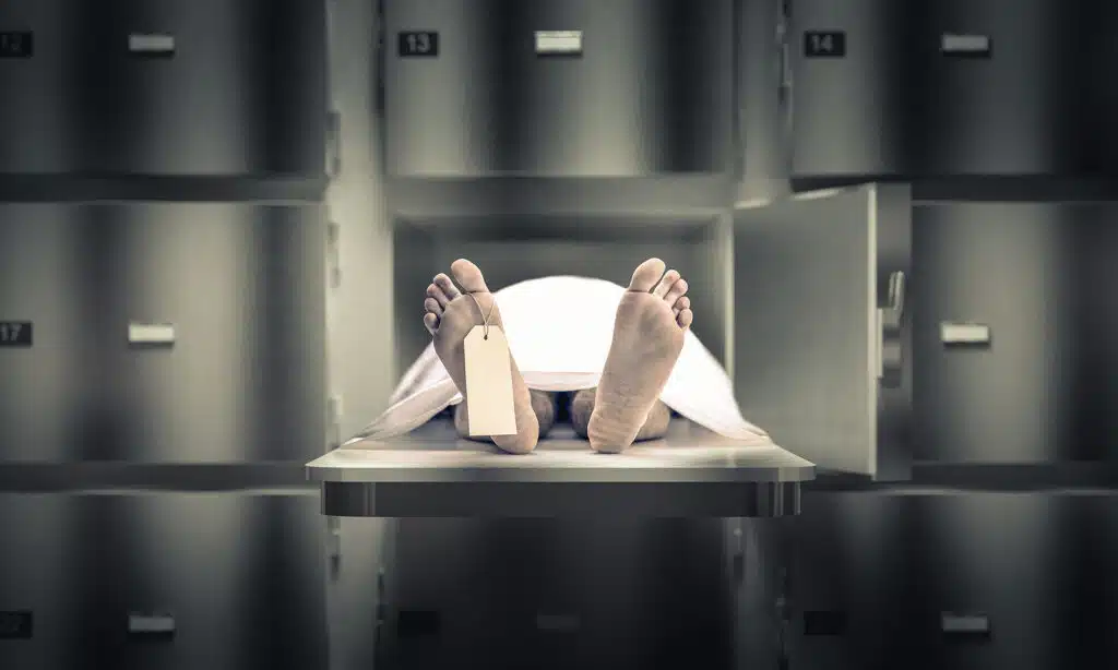 refridgerated dead body