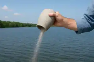 ash scattering in water
